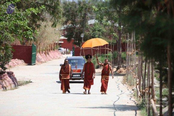 20160301_Photo_1032_IMG_8278_CMP_WM