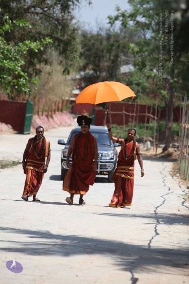 20160301_Photo_1033_IMG_8279_CMP_WM