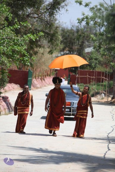 20160301_Photo_1034_IMG_8280_CMP_WM