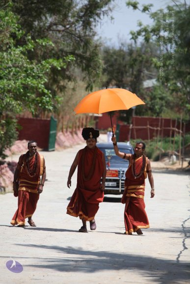 20160301_Photo_1035_IMG_8281_CMP_WM