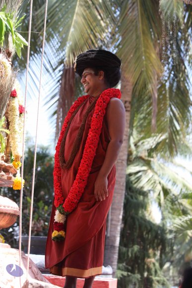 20160301_Photo_1066_IMG_8324_CMP_WM