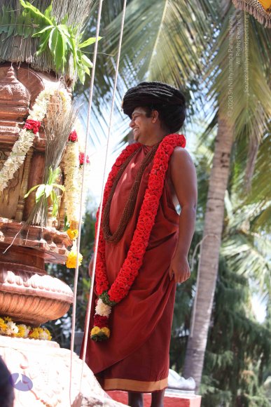 20160301_Photo_1068_IMG_8326_CMP_WM