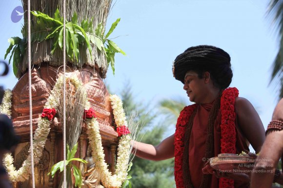 20160301_Photo_1074_IMG_8332_CMP_WM