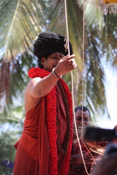 20160301_Photo_1084_IMG_8344_CMP_WM