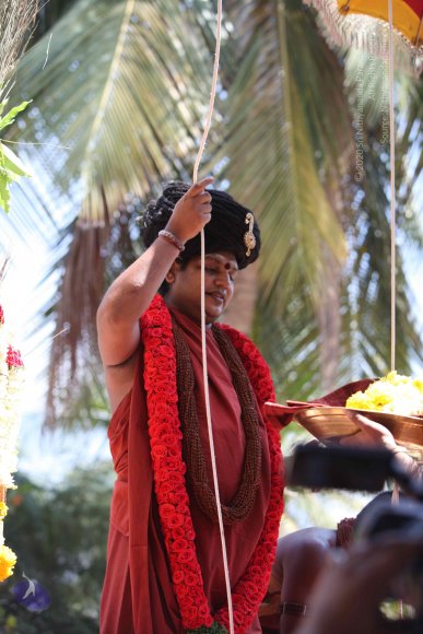 20160301_Photo_1085_IMG_8345_CMP_WM