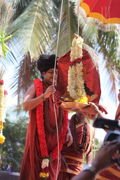 20160301_Photo_1088_IMG_8348_CMP_WM