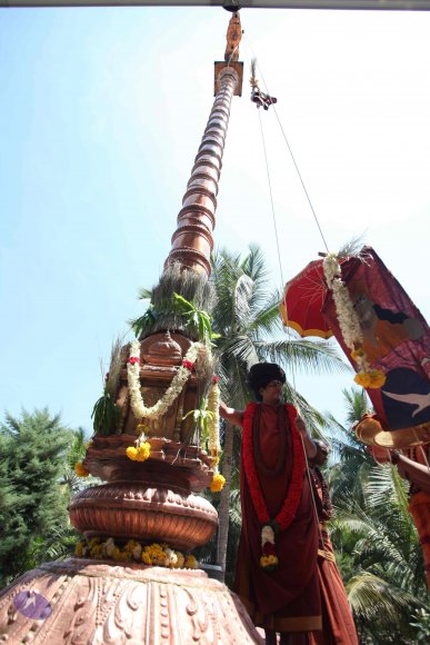 20160301_Photo_1093_IMG_8354_CMP_WM