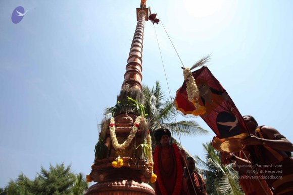 20160301_Photo_1094_IMG_8355_CMP_WM