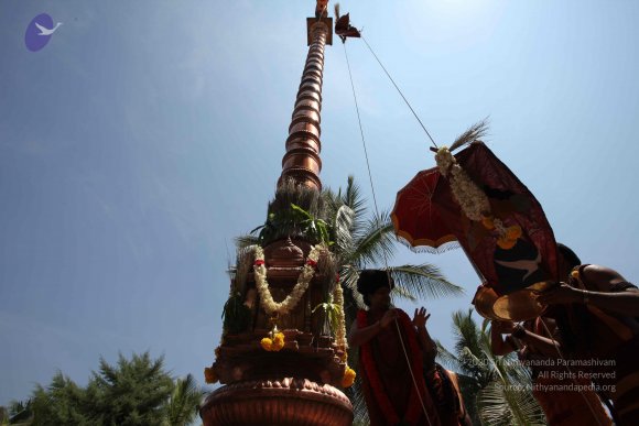 20160301_Photo_1095_IMG_8356_CMP_WM