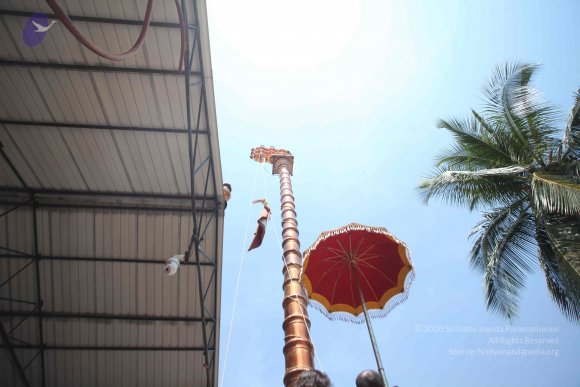 20160301_Photo_1097_IMG_8361_CMP_WM