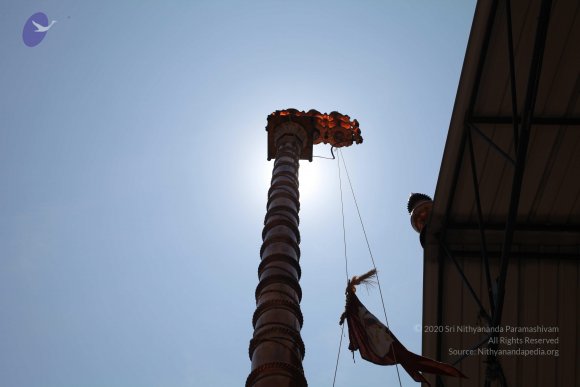 20160301_Photo_1098_IMG_8362_CMP_WM