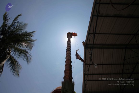 20160301_Photo_1099_IMG_8363_CMP_WM