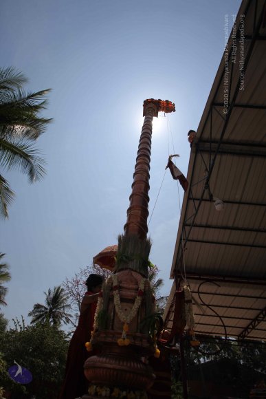 20160301_Photo_1100_IMG_8364_CMP_WM