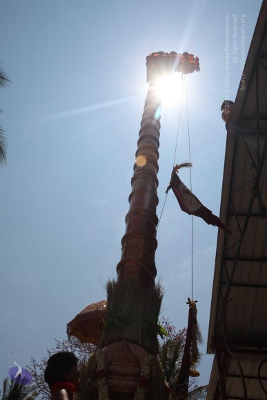 20160301_Photo_1101_IMG_8365_CMP_WM