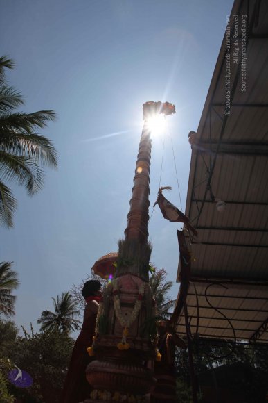 20160301_Photo_1102_IMG_8366_CMP_WM