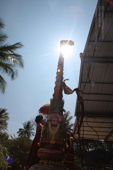 20160301_Photo_1103_IMG_8367_CMP_WM