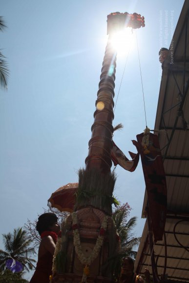 20160301_Photo_1104_IMG_8368_CMP_WM