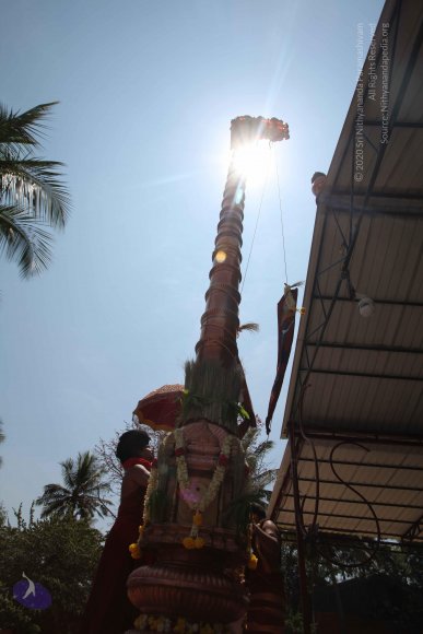 20160301_Photo_1105_IMG_8369_CMP_WM