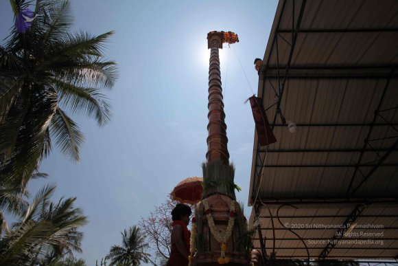 20160301_Photo_1106_IMG_8371_CMP_WM