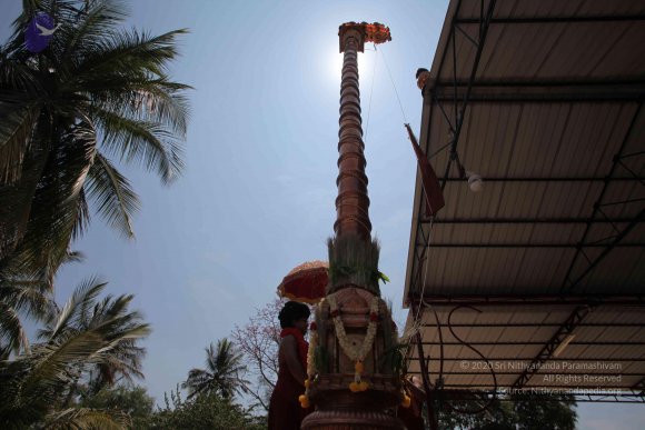 20160301_Photo_1107_IMG_8372_CMP_WM