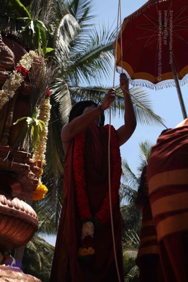 20160301_Photo_1111_IMG_8380_CMP_WM