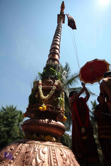 20160301_Photo_1112_IMG_8381_CMP_WM