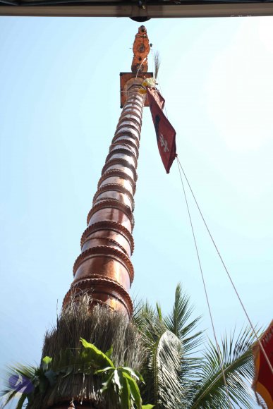 20160301_Photo_1114_IMG_8383_CMP_WM