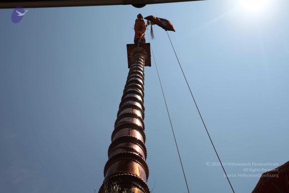 20160301_Photo_1117_IMG_8387_CMP_WM