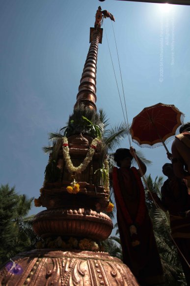 20160301_Photo_1119_IMG_8393_CMP_WM