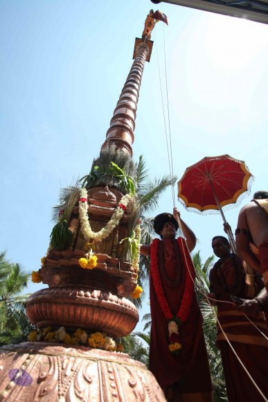 20160301_Photo_1120_IMG_8394_CMP_WM