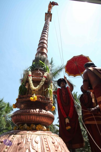 20160301_Photo_1121_IMG_8395_CMP_WM