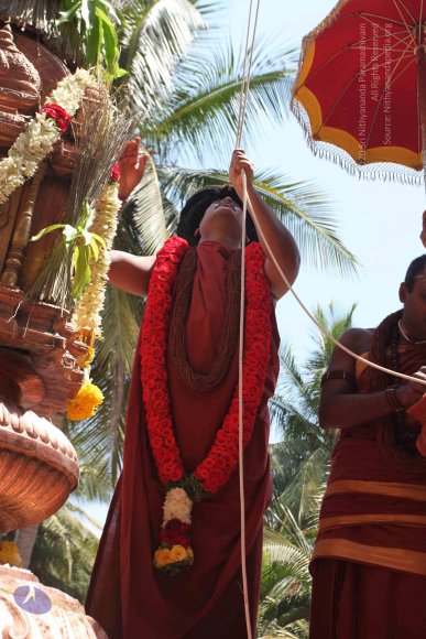 20160301_Photo_1123_IMG_8397_CMP_WM