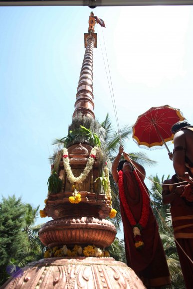 20160301_Photo_1124_IMG_8398_CMP_WM