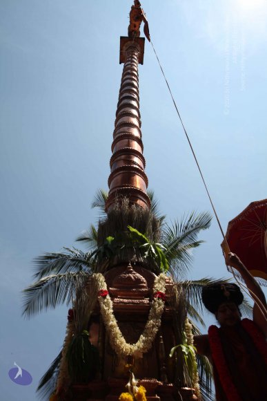 20160301_Photo_1128_IMG_8406_CMP_WM