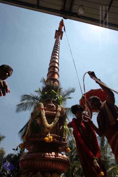 20160301_Photo_1129_IMG_8407_CMP_WM