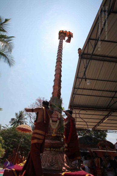 20160301_Photo_1130_IMG_8409_CMP_WM