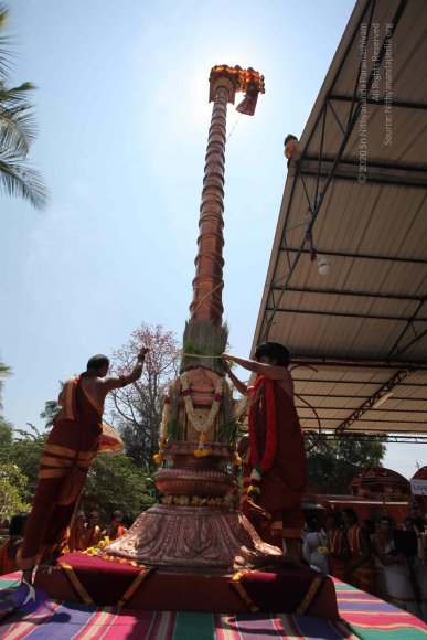 20160301_Photo_1131_IMG_8410_CMP_WM