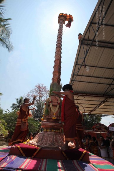 20160301_Photo_1132_IMG_8411_CMP_WM