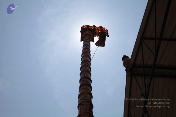 20160301_Photo_1133_IMG_8413_CMP_WM