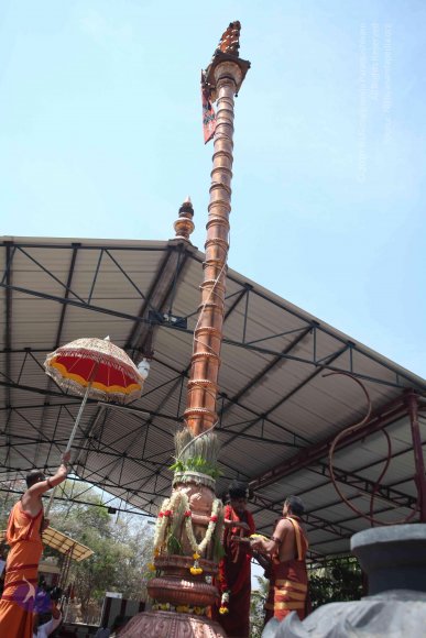 20160301_Photo_1135_IMG_8419_CMP_WM