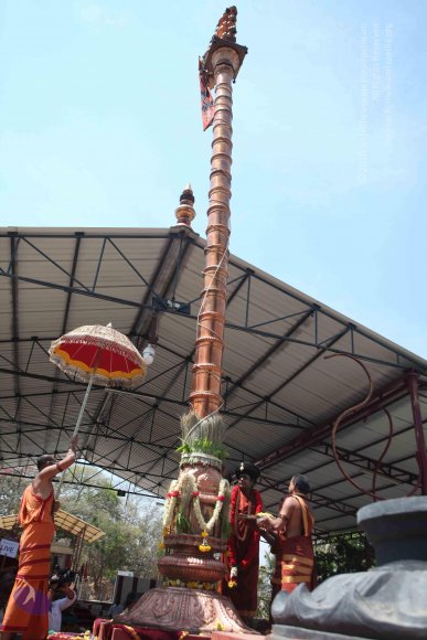 20160301_Photo_1136_IMG_8420_CMP_WM