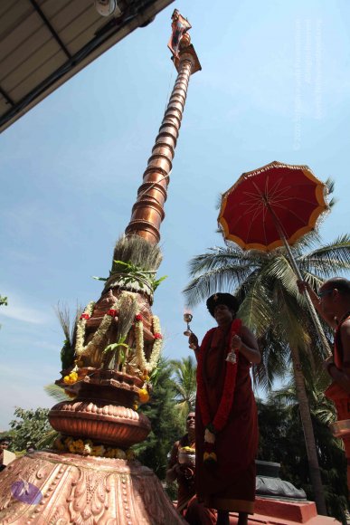 20160301_Photo_1138_IMG_8425_CMP_WM