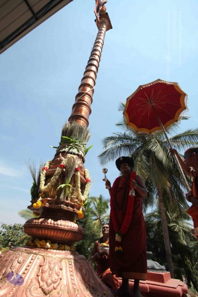 20160301_Photo_1139_IMG_8426_CMP_WM