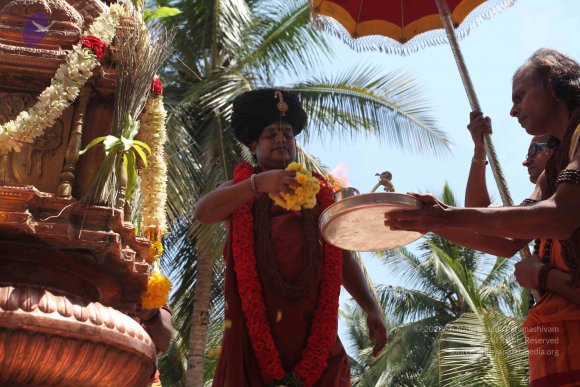 20160301_Photo_1141_IMG_8432_CMP_WM