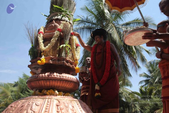 20160301_Photo_1142_IMG_8434_CMP_WM