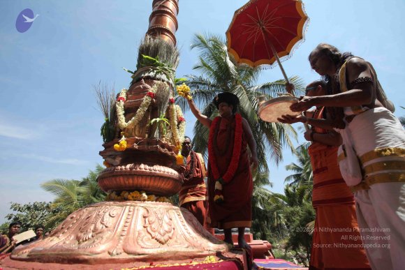 20160301_Photo_1144_IMG_8436_CMP_WM