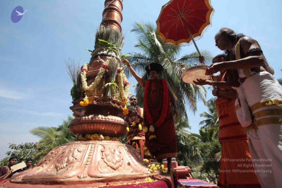 20160301_Photo_1146_IMG_8438_CMP_WM