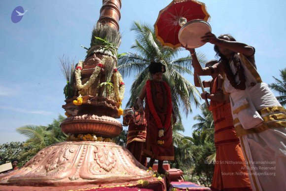 20160301_Photo_1148_IMG_8442_CMP_WM