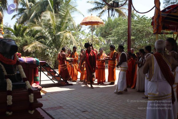 20160301_Photo_1151_IMG_8445_CMP_WM