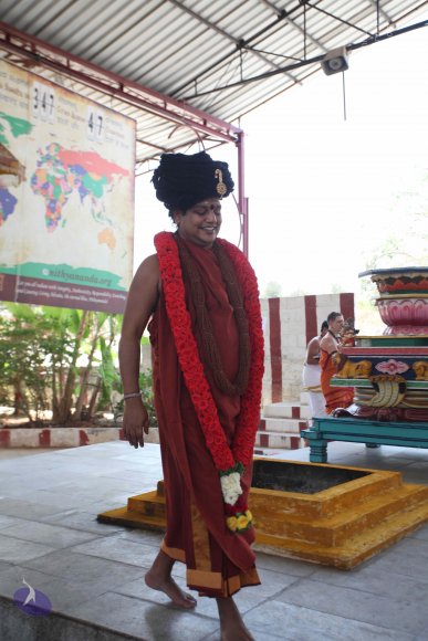 20160301_Photo_1159_IMG_8455_CMP_WM